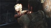 The Last of Us 13.jpg